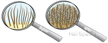 HairFor2 pod lupą