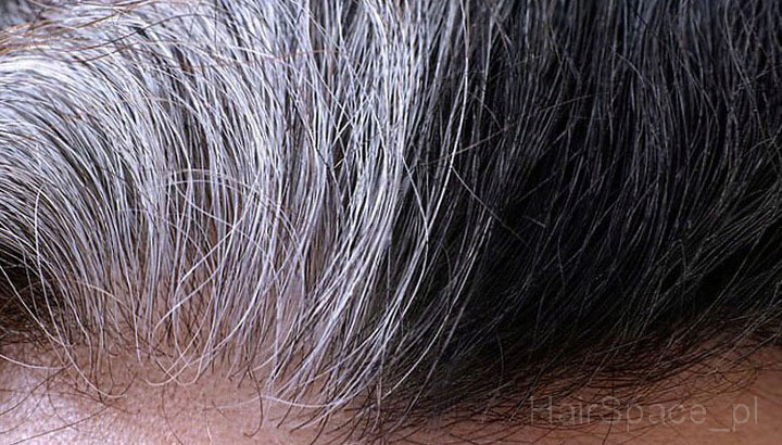 Sevich Black Hair Shampoo